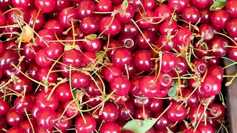 Cherries in boxes on the market top view Stock Footage 155542846