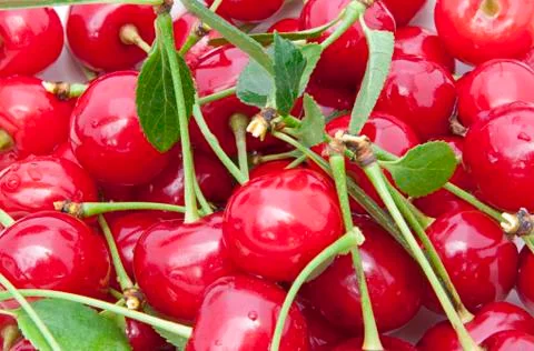 Cherries close up Stock Photos
