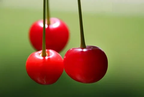 Cherries close up Stock Photos