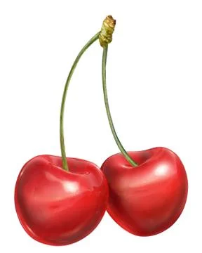 Cherries couple, with stems. Stock Illustration
