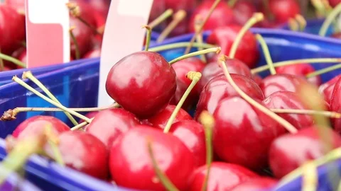 Cherries, extreme close-up 動画素材 104167589