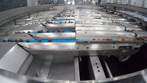 Cherries Factory Stock Footage 85481174