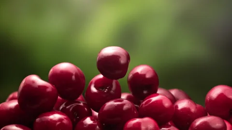 Cherries falling in slow motion Stock Footage 156809375