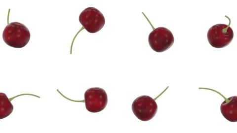 Cherries Falling on a White Background. Stylized Cherry 3D Animation. 4K Stock Footage 310481189