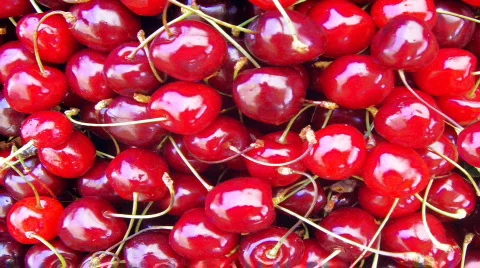 Cherries Stock Footage 503813