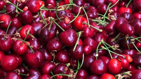 Cherries Stock Footage 147632298