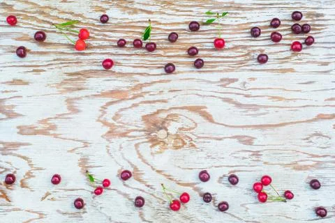 Cherries frame on white board Stock Photos