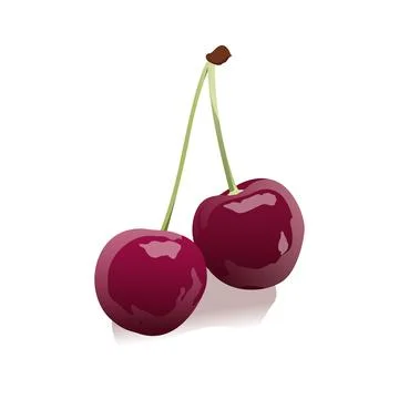 Cherries fruit 3D design vector Stock Illustration