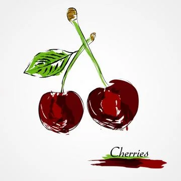 Cherries Stock Illustration
