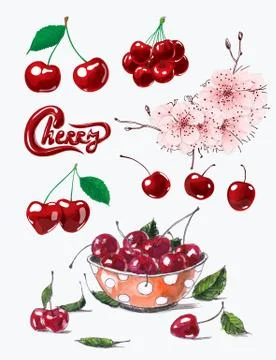 Cherries Stock Illustration
