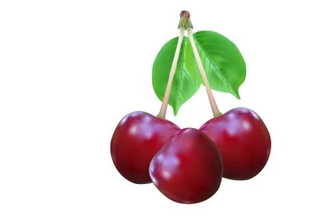 Cherries isolated on white background. Stock Illustration