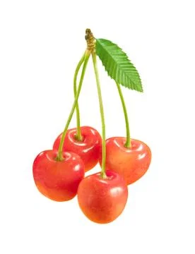 Cherries isolated on white background Фото