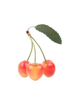 Cherries with leaves Stock Photos