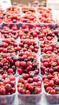 Cherries in a market. Stock Photos