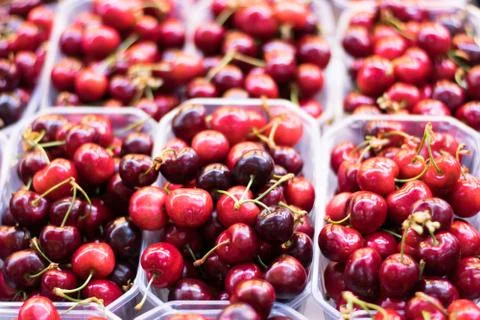 Cherries in a market. Stock Photos