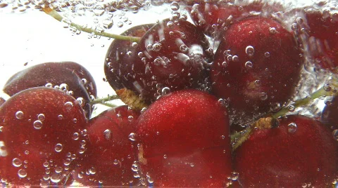 Cherries moving in water flow  Stock Footage 453287