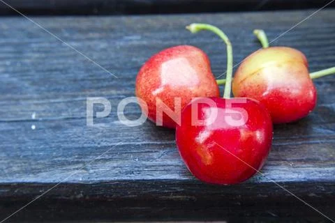 Cherries with petioles - close-up Stock Photos