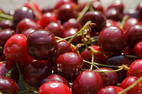 Cherries Stock-Fotos