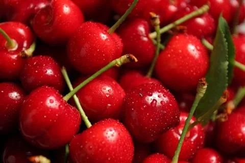 Cherries Stock Photos