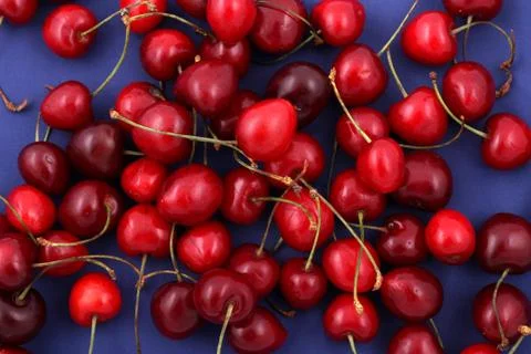 Cherries Foto stock