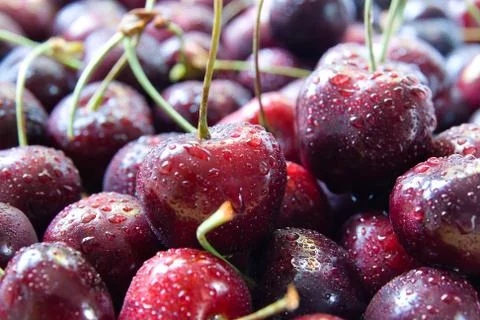 Cherries Stock Photos