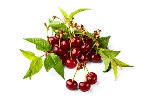 Cherries Foto stock