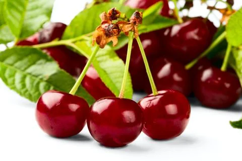 Cherries Stock Photos