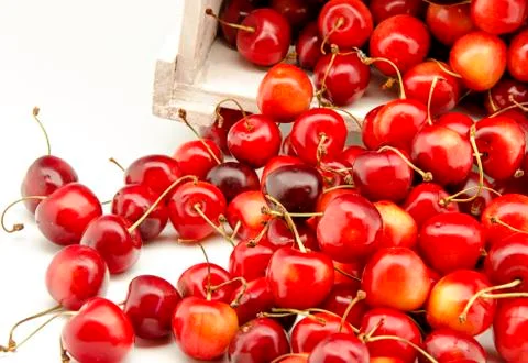 Cherries Stock Photos