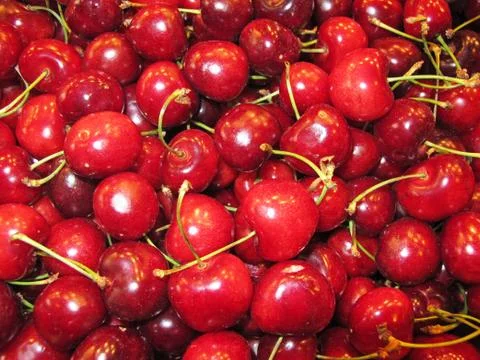 Cherries 库存照片
