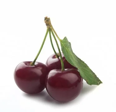 Cherries Stock Photos