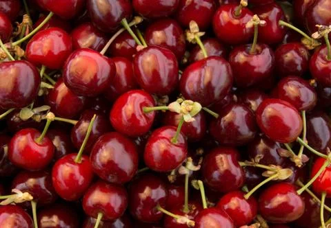 Cherries Stock Photos