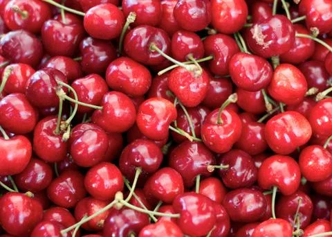 Cherries Stock Photos