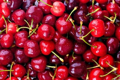 Cherries Stock Photos
