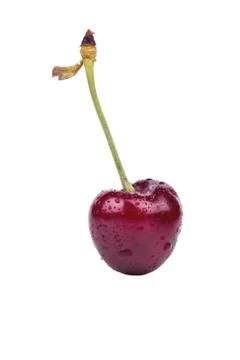 Cherries Stock Photos