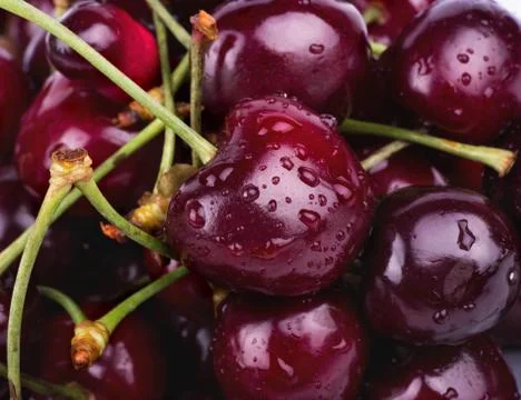 Cherries Stock Photos