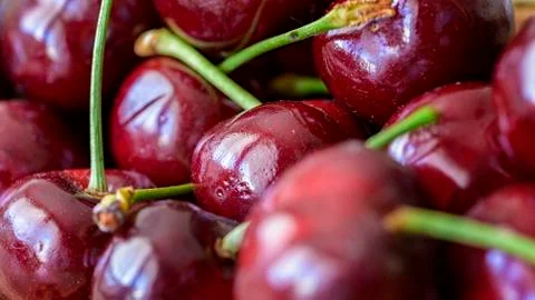 Cherries Photos