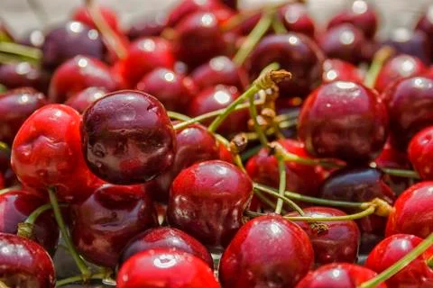 Cherries Stock Photos