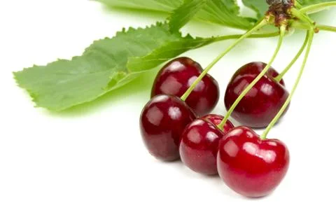 Cherries Stock Photos