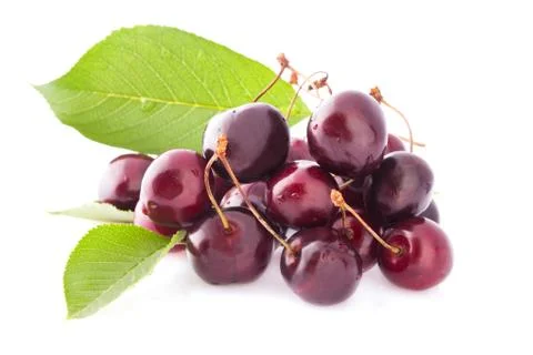 Cherries Фото