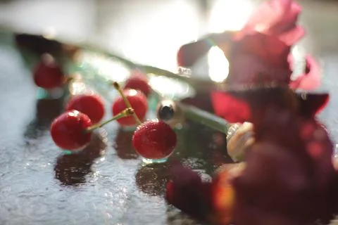 Cherries Stock-Fotos