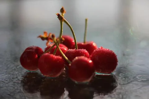 Cherries 스톡 사진