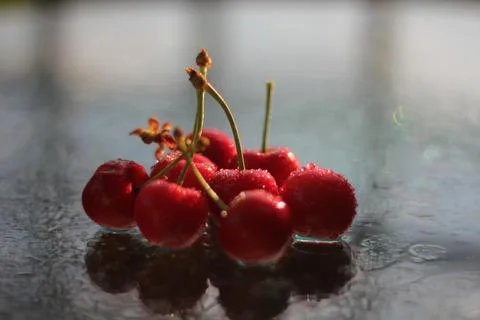 Cherries 스톡 사진