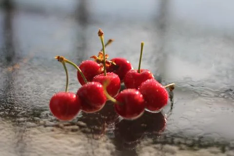 Cherries Stock-Fotos