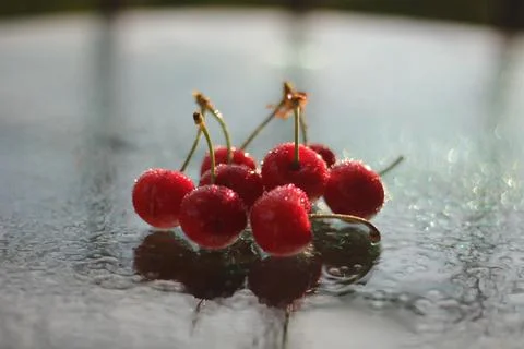 Cherries 스톡 사진