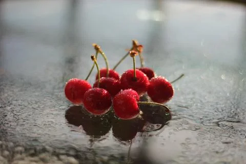 Cherries Stock-Fotos