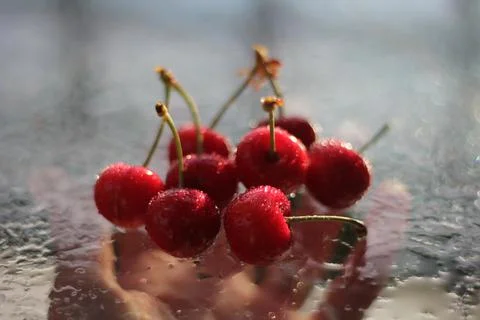 Cherries 스톡 사진