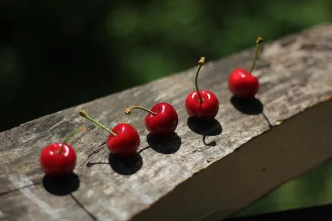 Cherries Stock-Fotos