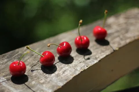 Cherries Stock-Fotos