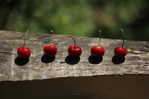 Cherries 库存照片