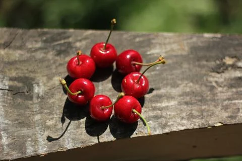 Cherries 库存照片